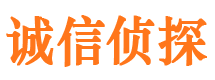 诏安市调查公司